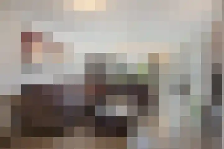 Abe Lenstrasingel 4 Rosmalen thumbnail 4