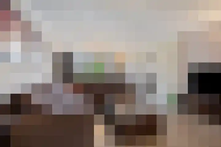 Abe Lenstrasingel 4 Rosmalen thumbnail 5