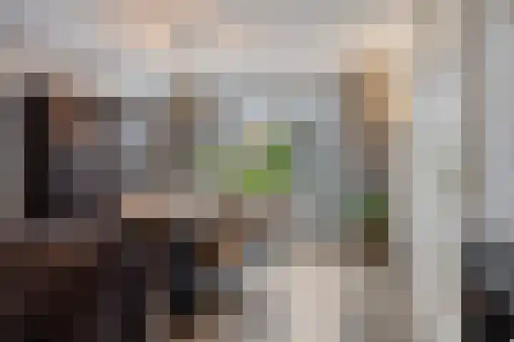 Abe Lenstrasingel 4 Rosmalen thumbnail 6