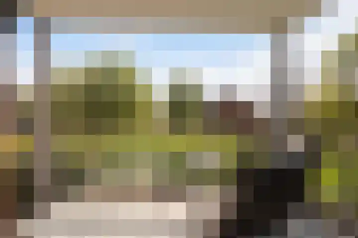 Abeel 3 Barendrecht thumbnail 14