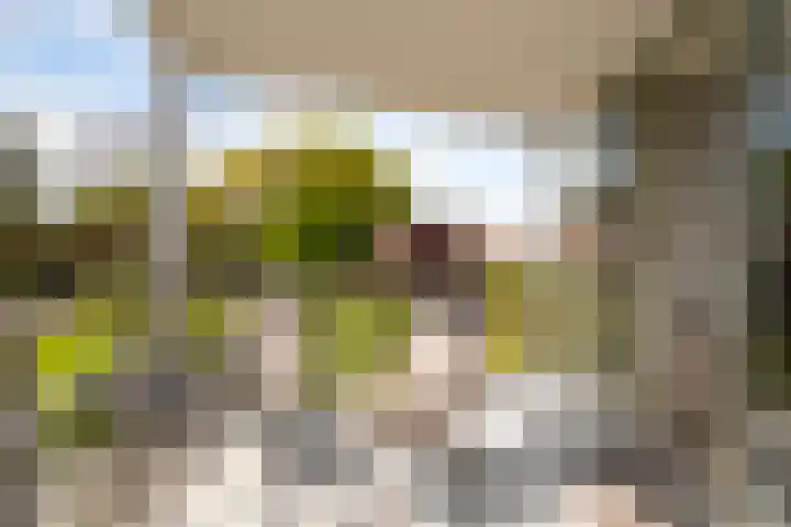 Abeel 3 Barendrecht thumbnail 15
