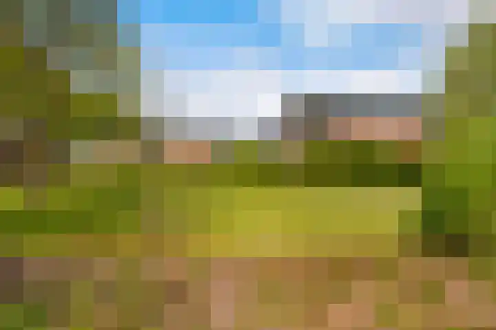 Abeel 3 Barendrecht thumbnail 24
