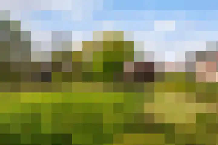 Abeel 3 Barendrecht thumbnail 25