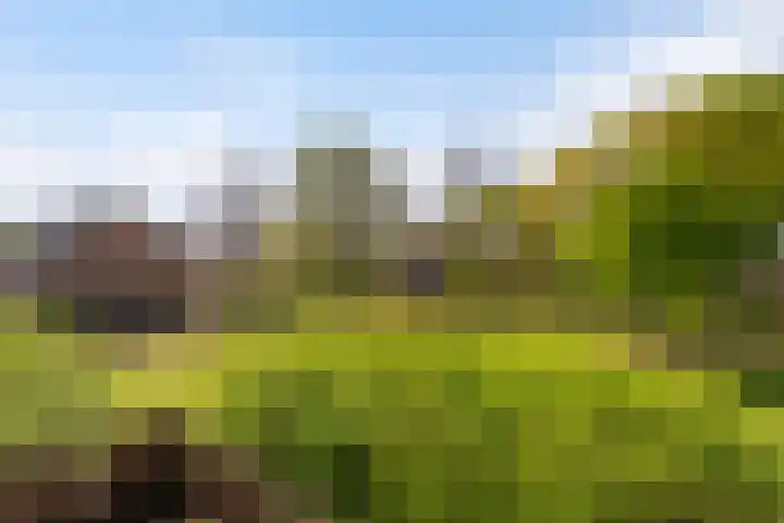 Abeel 3 Barendrecht thumbnail 26