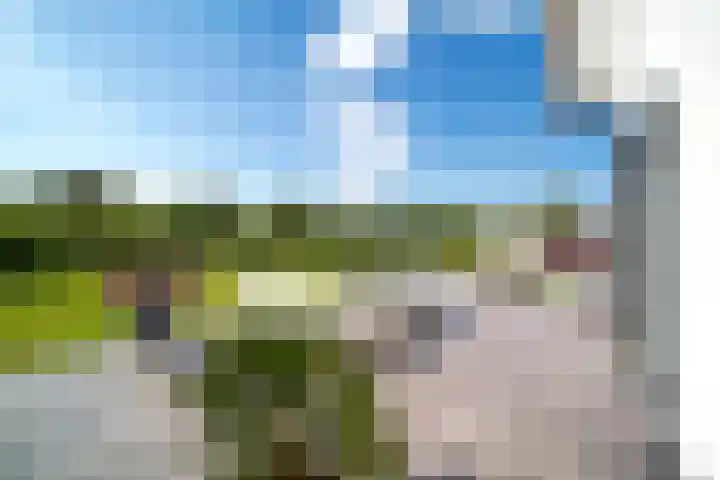 Abeelenpark 11 Noordwijkerhout thumbnail 15