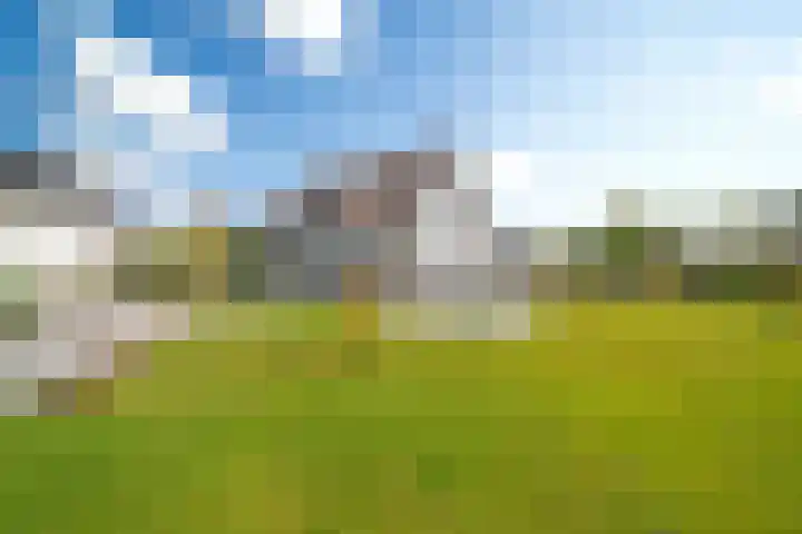 Abeelenpark 11 Noordwijkerhout thumbnail 18