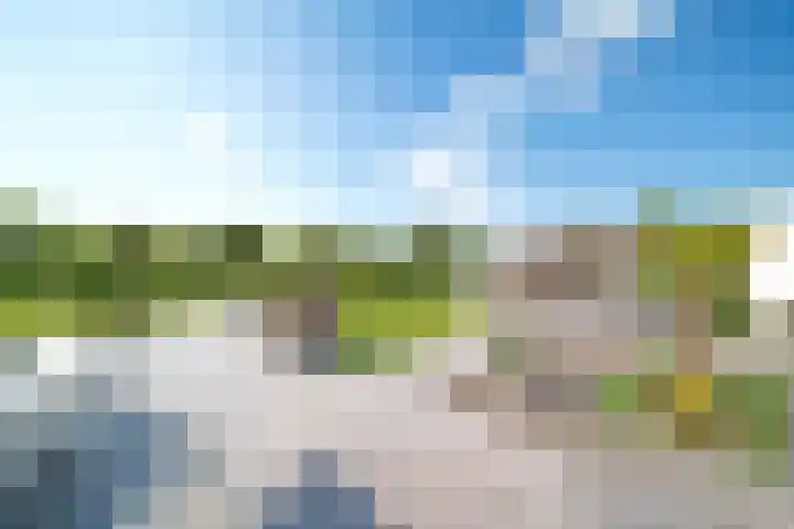 Abeelenpark 11 Noordwijkerhout thumbnail 21
