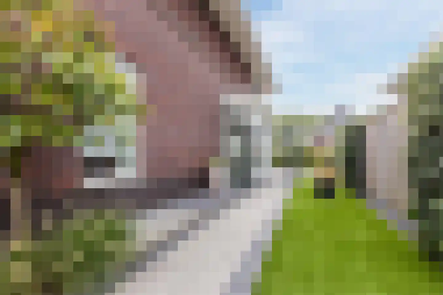 Abeelenpark 30 Noordwijkerhout thumbnail 59
