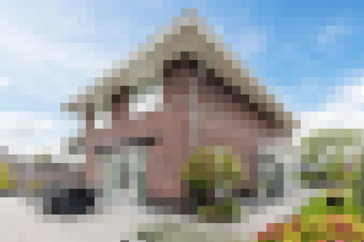 Abeelenpark 30 Noordwijkerhout thumbnail 63