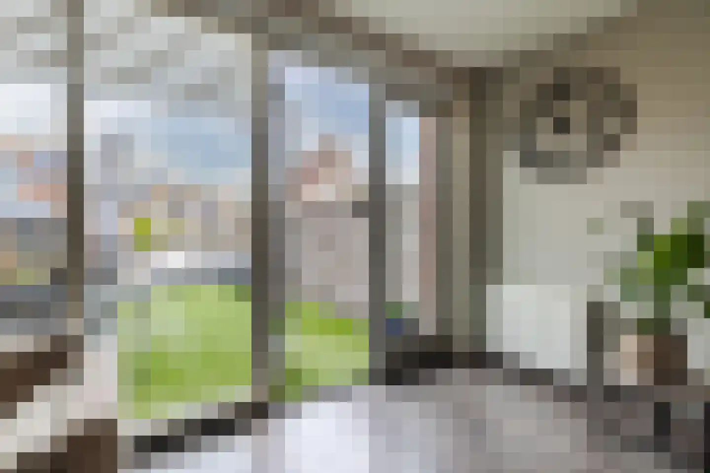 Abeelhof 4 Driebruggen thumbnail 14