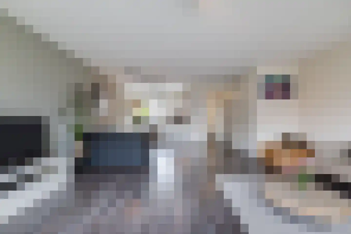 Abeelhof 4 Driebruggen thumbnail 17