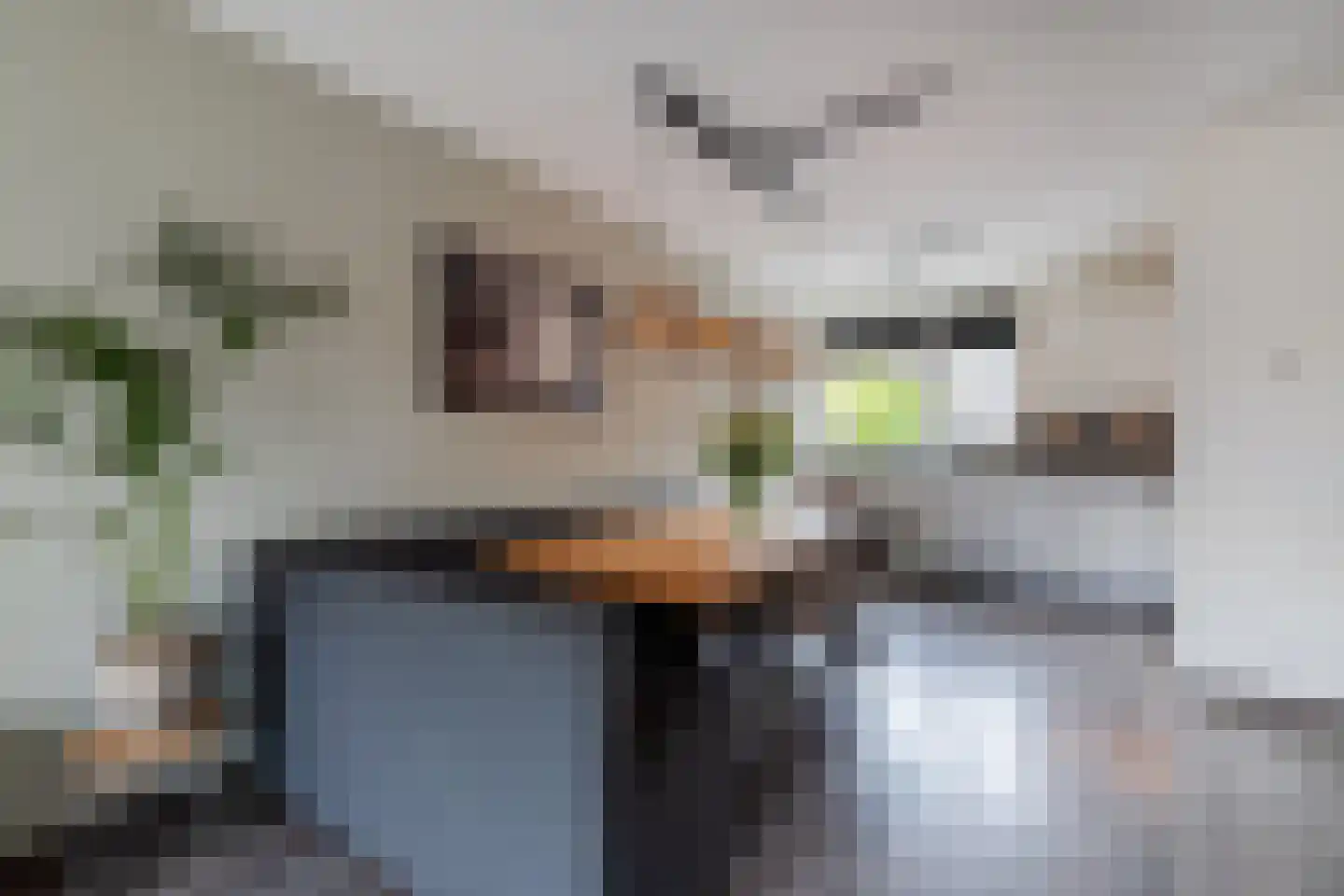 Abeelhof 4 Driebruggen thumbnail 18