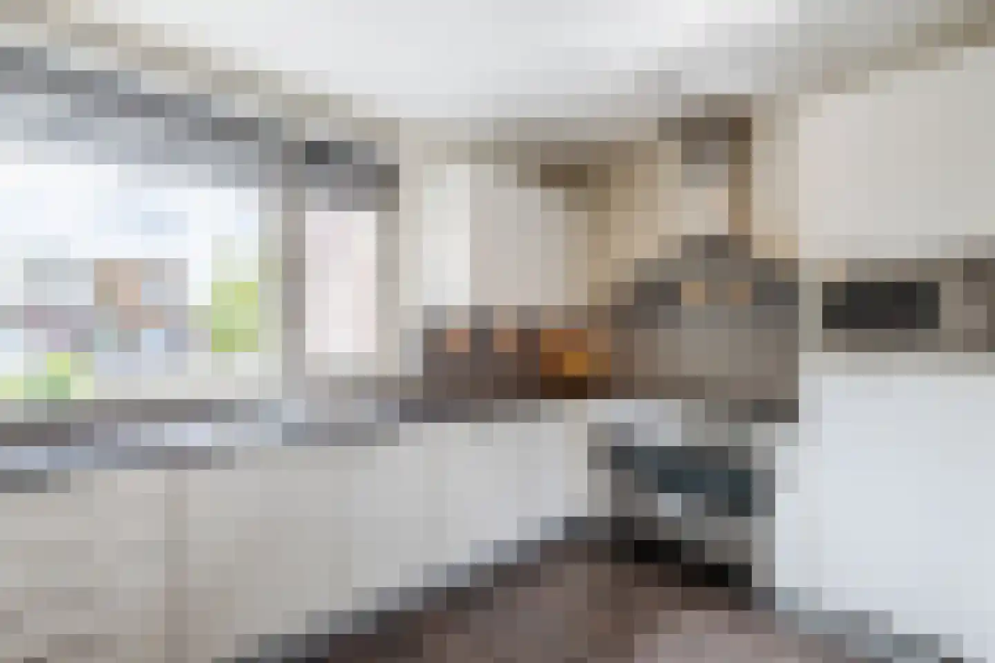 Abeelhof 4 Driebruggen thumbnail 19