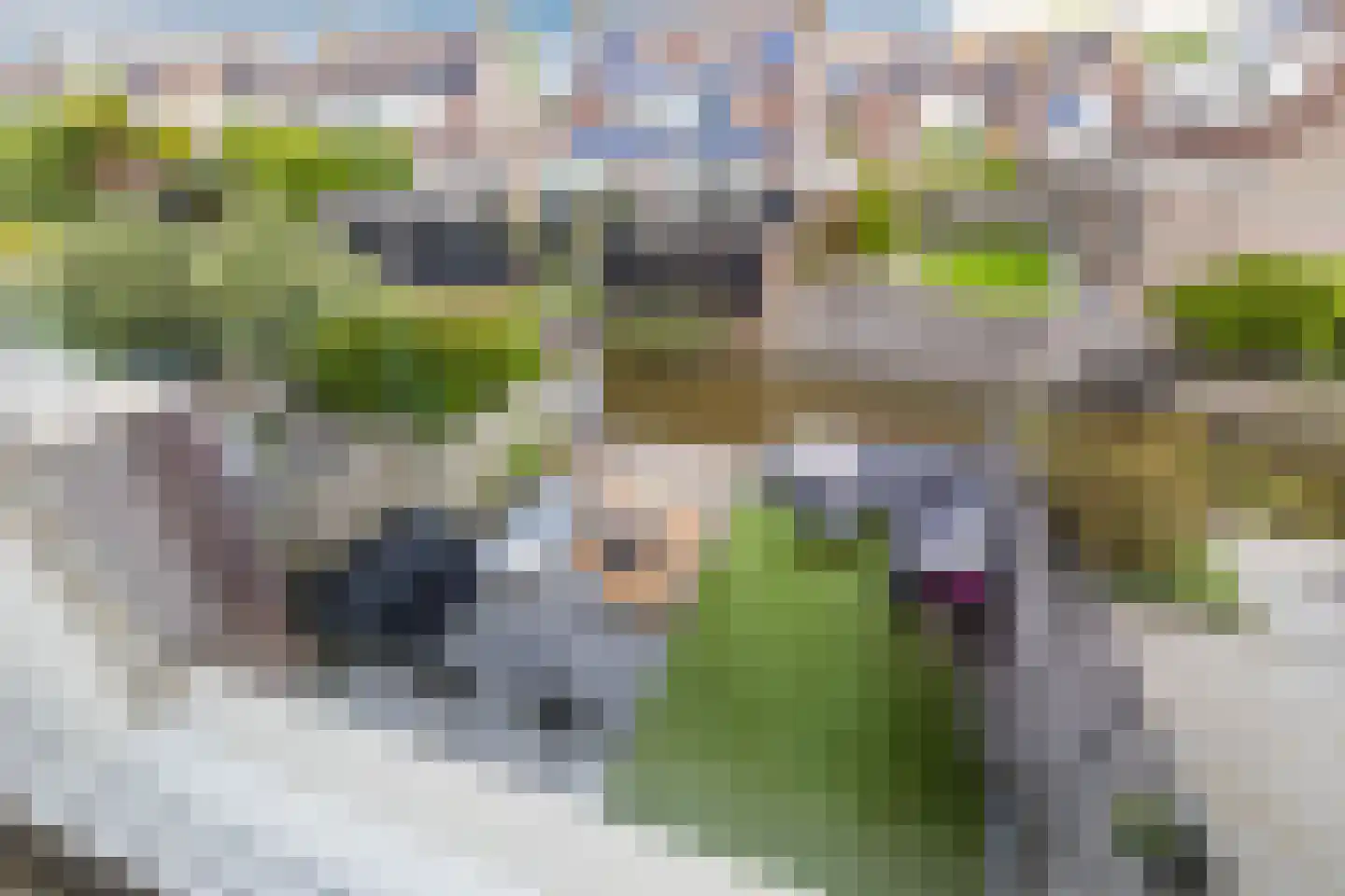 Abeelhof 4 Driebruggen thumbnail 35