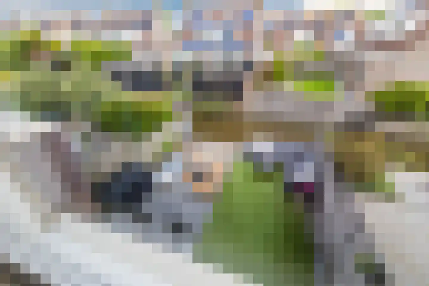 Abeelhof 4 Driebruggen thumbnail 35