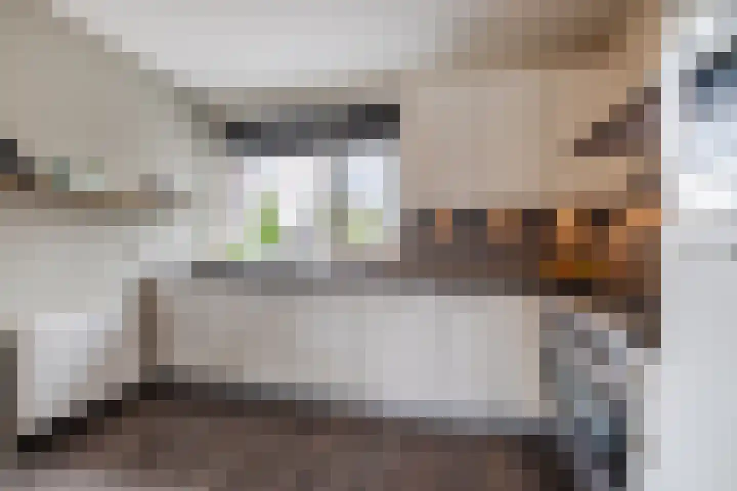 Abeelhof 4 Driebruggen thumbnail 4