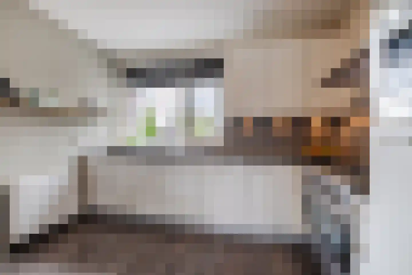 Abeelhof 4 Driebruggen thumbnail 4
