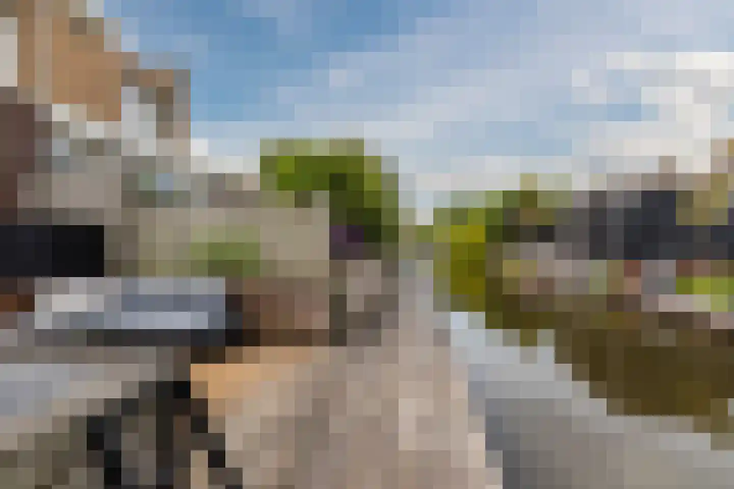Abeelhof 4 Driebruggen thumbnail 40