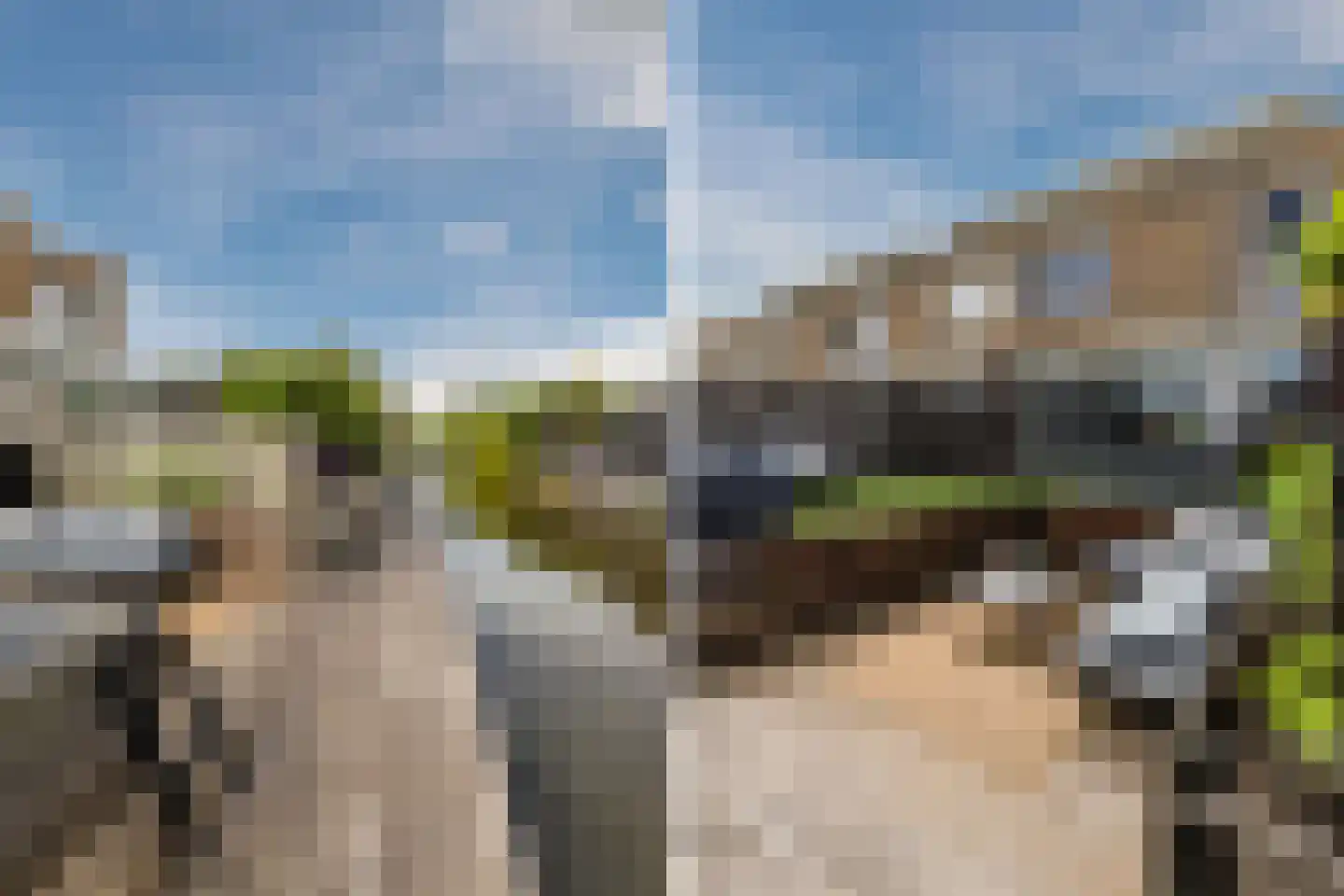 Abeelhof 4 Driebruggen thumbnail 43