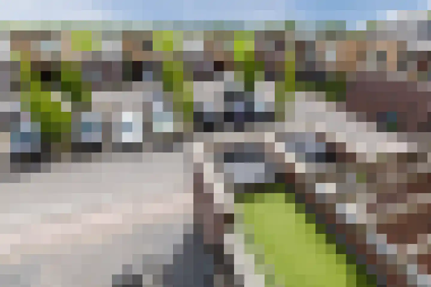 Abeelhof 4 Driebruggen thumbnail 47