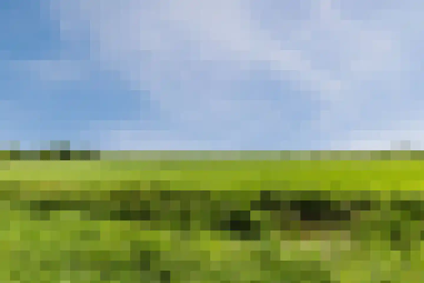 Abeelhof 4 Driebruggen thumbnail 49