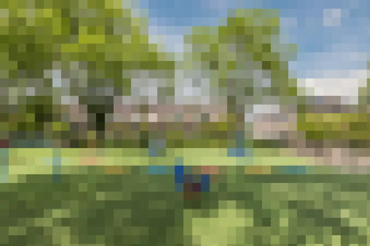 Abeelhof 4 Driebruggen thumbnail 50