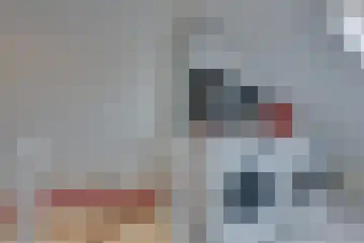 Abeelhof 68 Sleeuwijk thumbnail 26