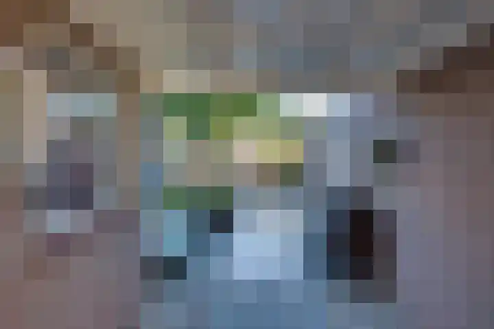 Abeelhof 68 Sleeuwijk thumbnail 31