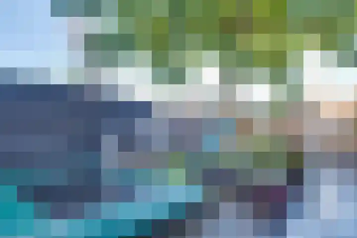 Abeelhof 68 Sleeuwijk thumbnail 32