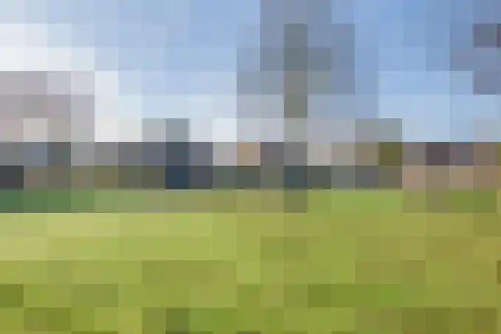 Abeelhof 68 Sleeuwijk thumbnail 38