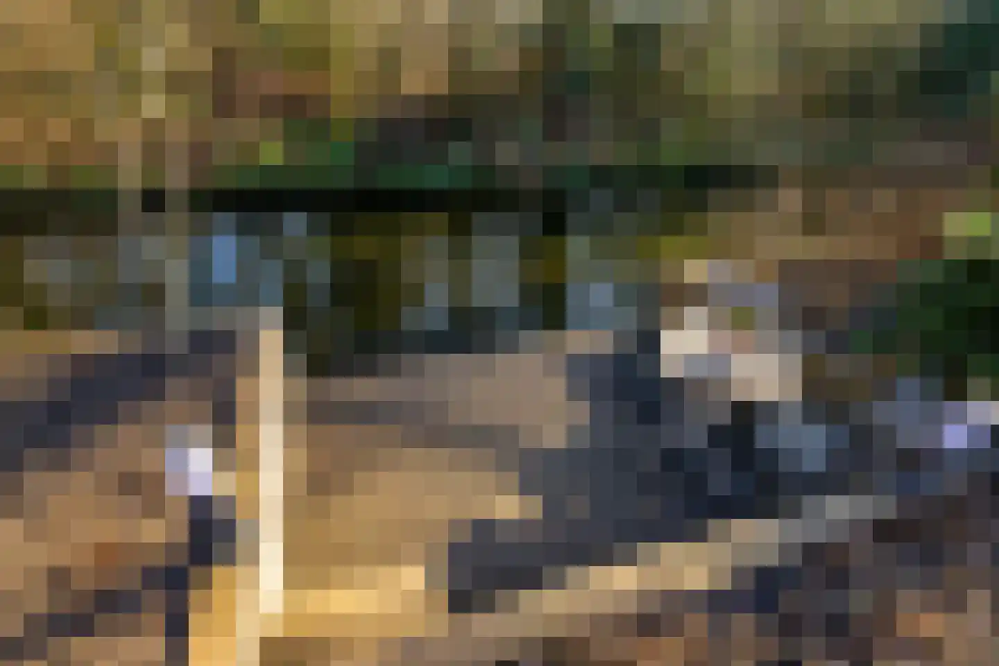 Abeelhof 9 Rotterdam thumbnail 35