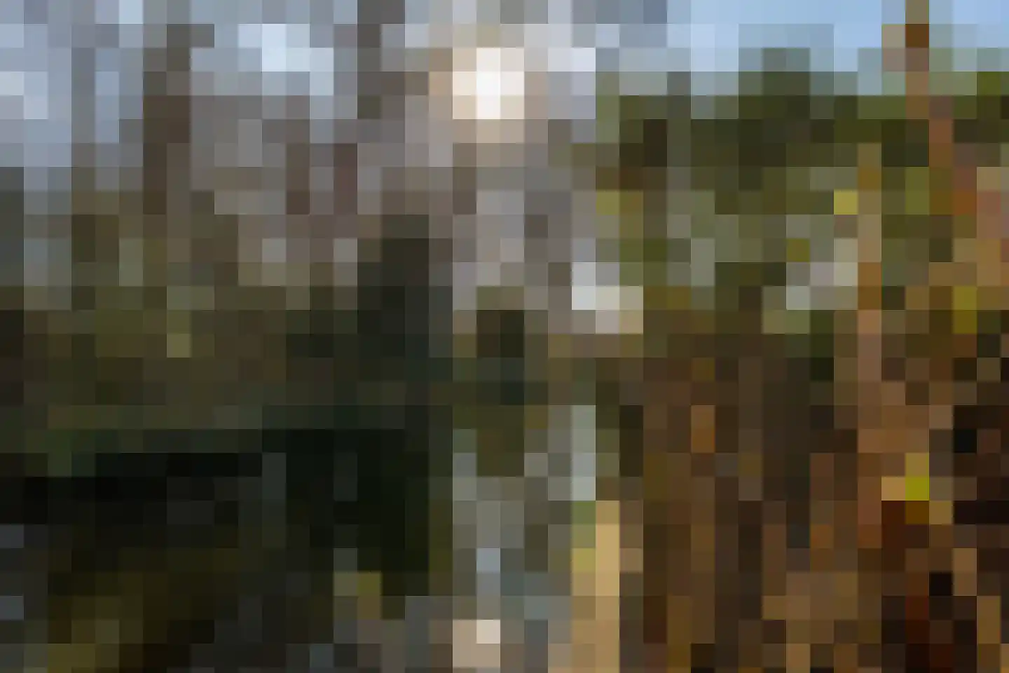 Abeelhof 9 Rotterdam thumbnail 37