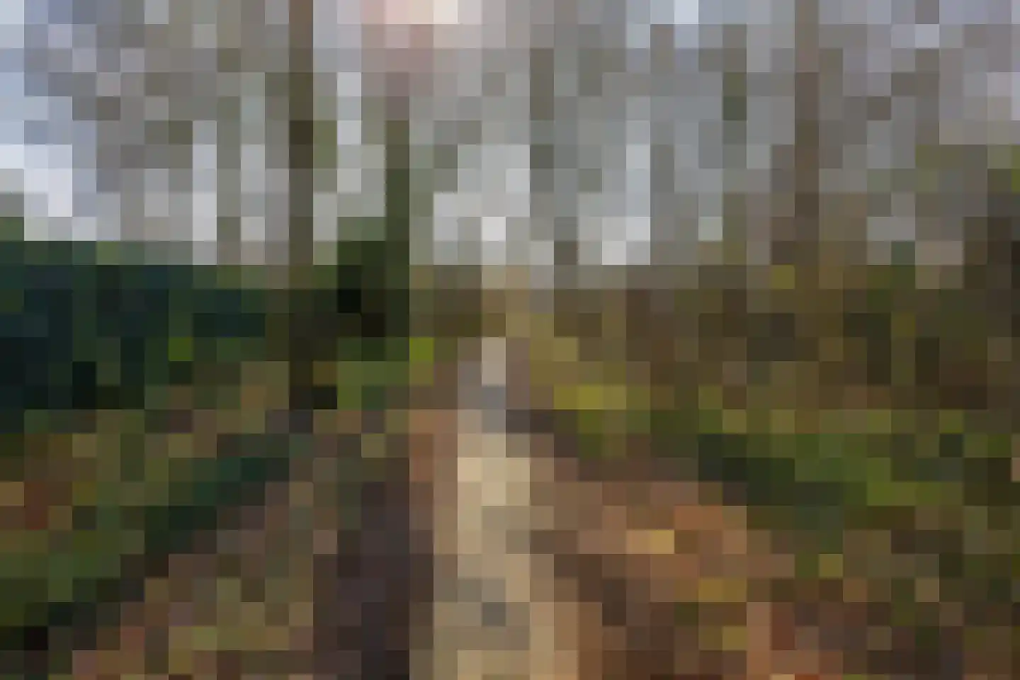 Abeelhof 9 Rotterdam thumbnail 38