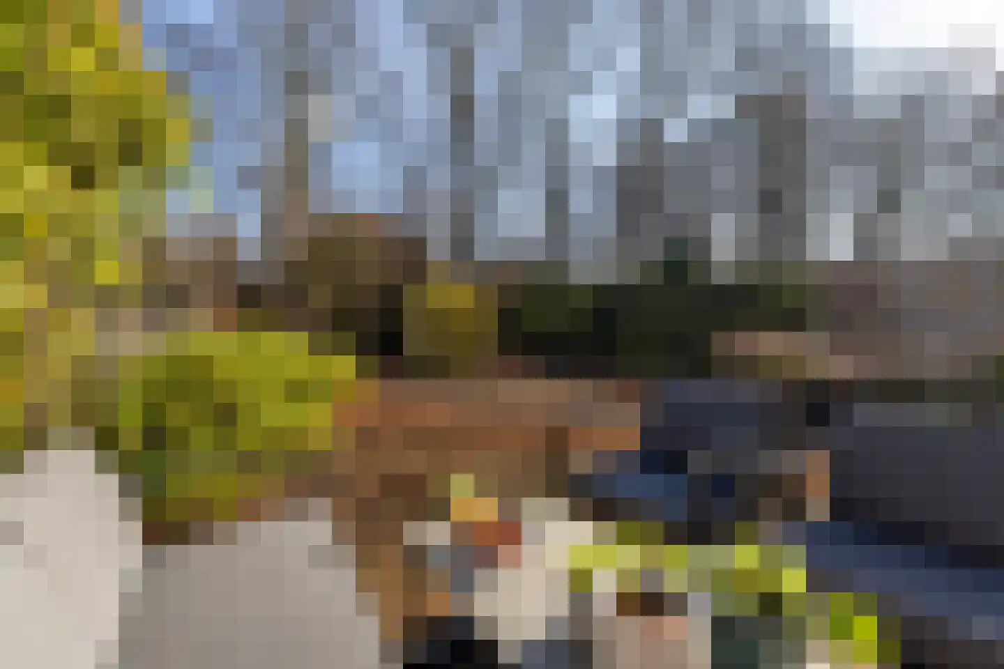 Abeelhof 9 Rotterdam thumbnail 40