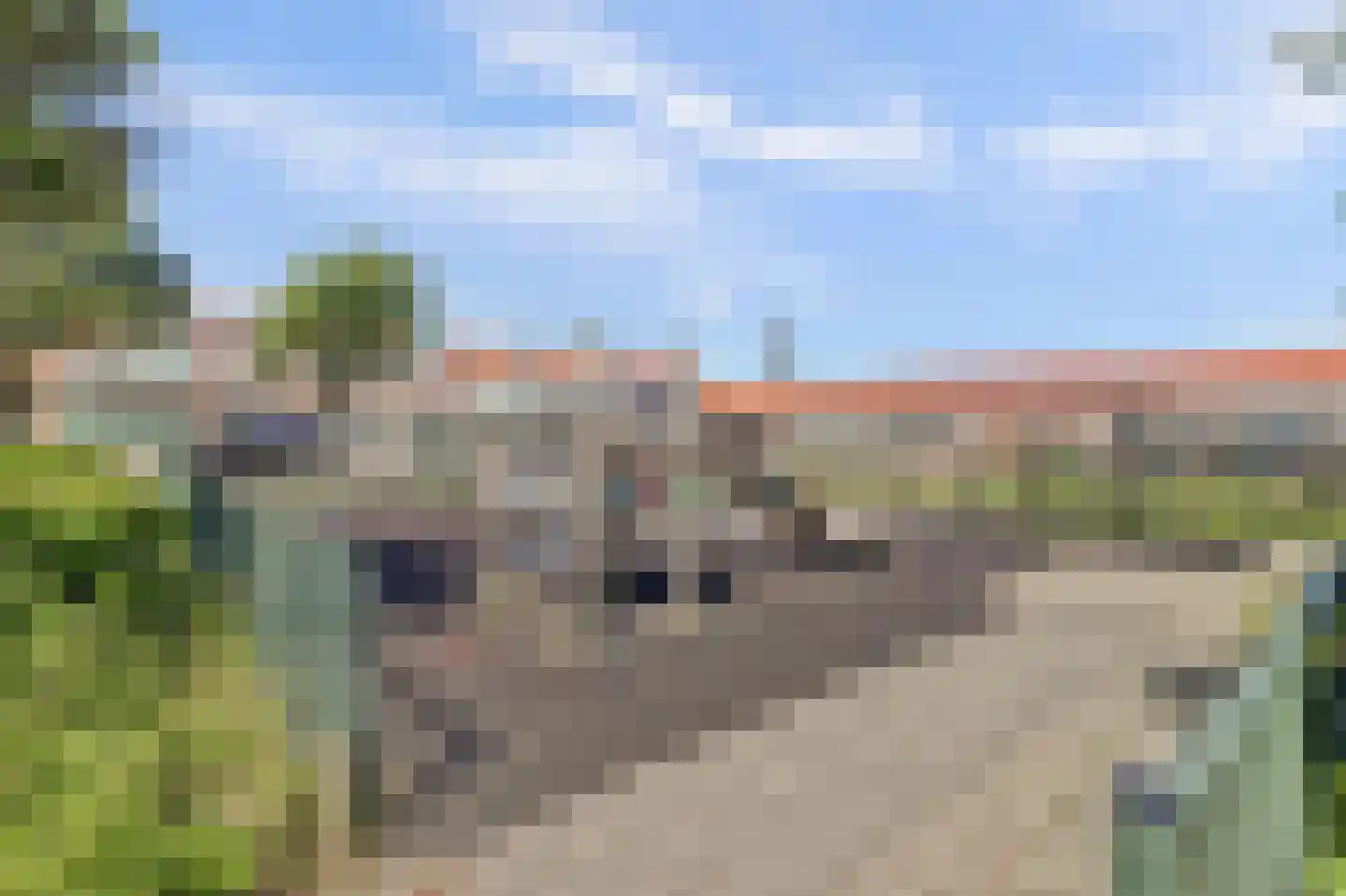 Abeelplein 14 Katwijk thumbnail 36