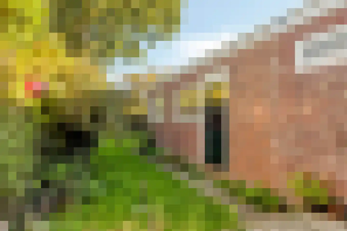 Abeelseweg 43 Middelburg thumbnail 19