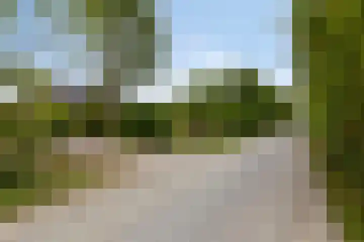 Abeelseweg 7 Middelburg thumbnail 5