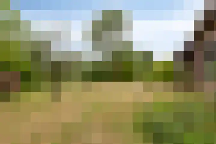 Abeelseweg 7 Middelburg thumbnail 51