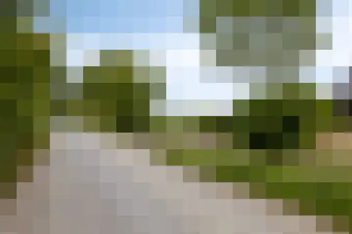 Abeelseweg 7 Middelburg thumbnail 6