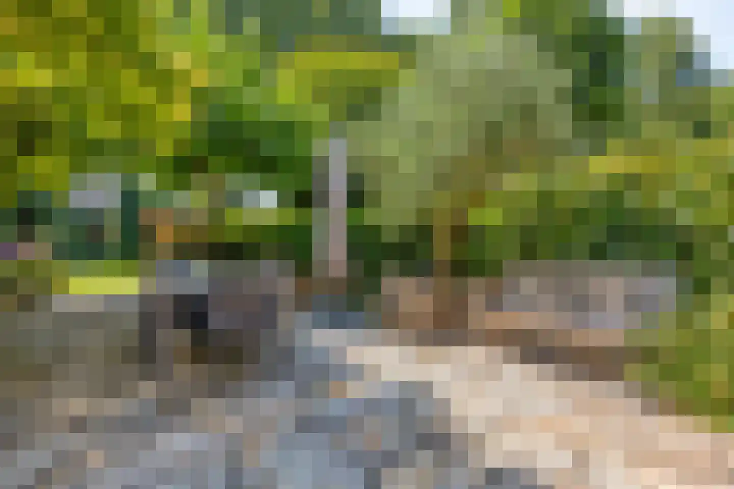 Abeelstraat 13 Dordrecht thumbnail 33