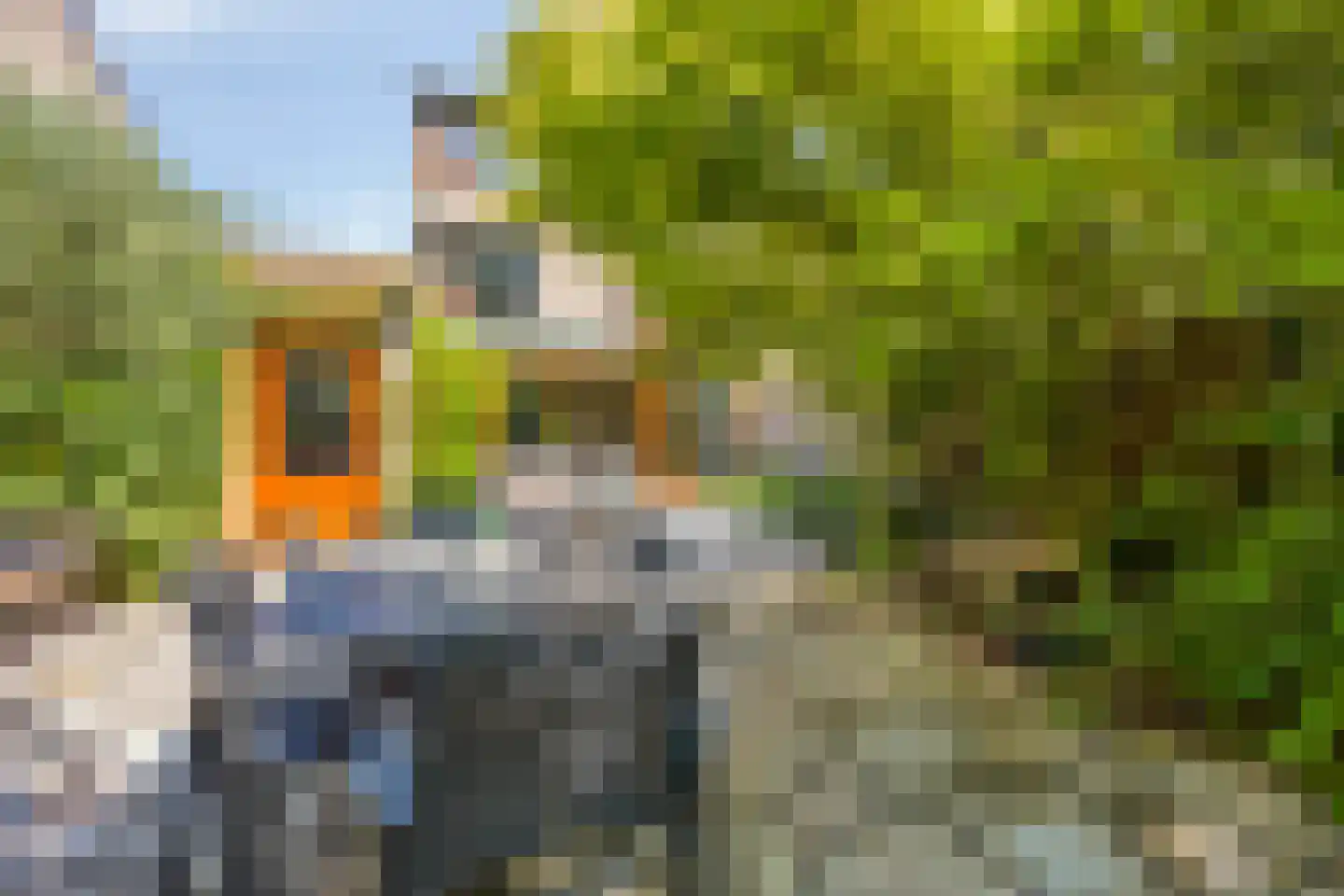 Abeelstraat 13 Dordrecht thumbnail 34