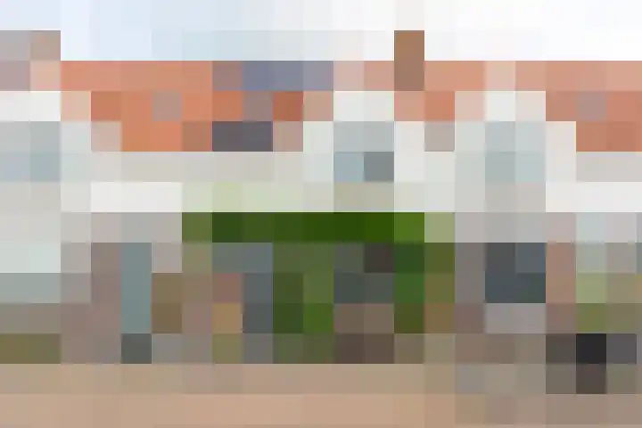 Abeelstraat 13 Utrecht thumbnail 4