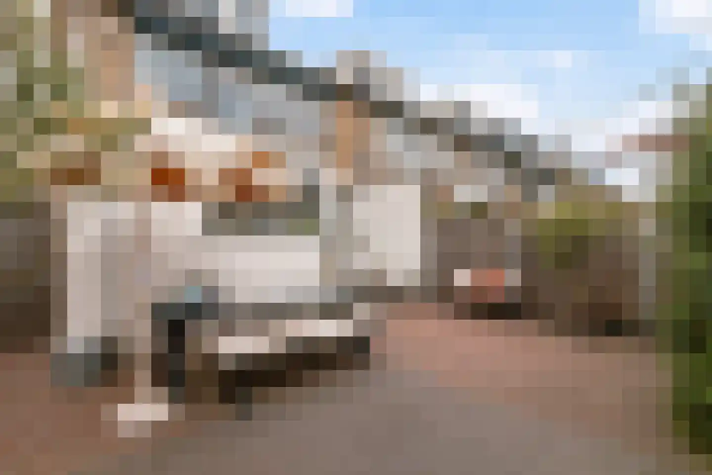 Abeelstraat 148 Dordrecht thumbnail 35