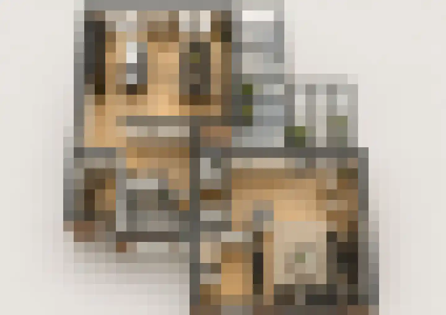Abeelstraat 19 Echt thumbnail 10