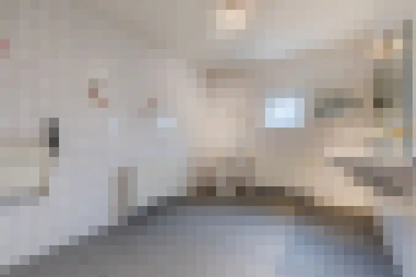 Abeelstraat 19 Echt thumbnail 12