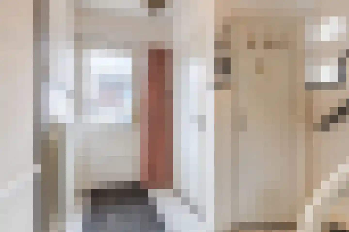 Abeelstraat 19 Echt thumbnail 17
