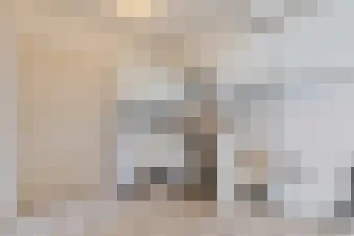 Abeelstraat 19 Echt thumbnail 17
