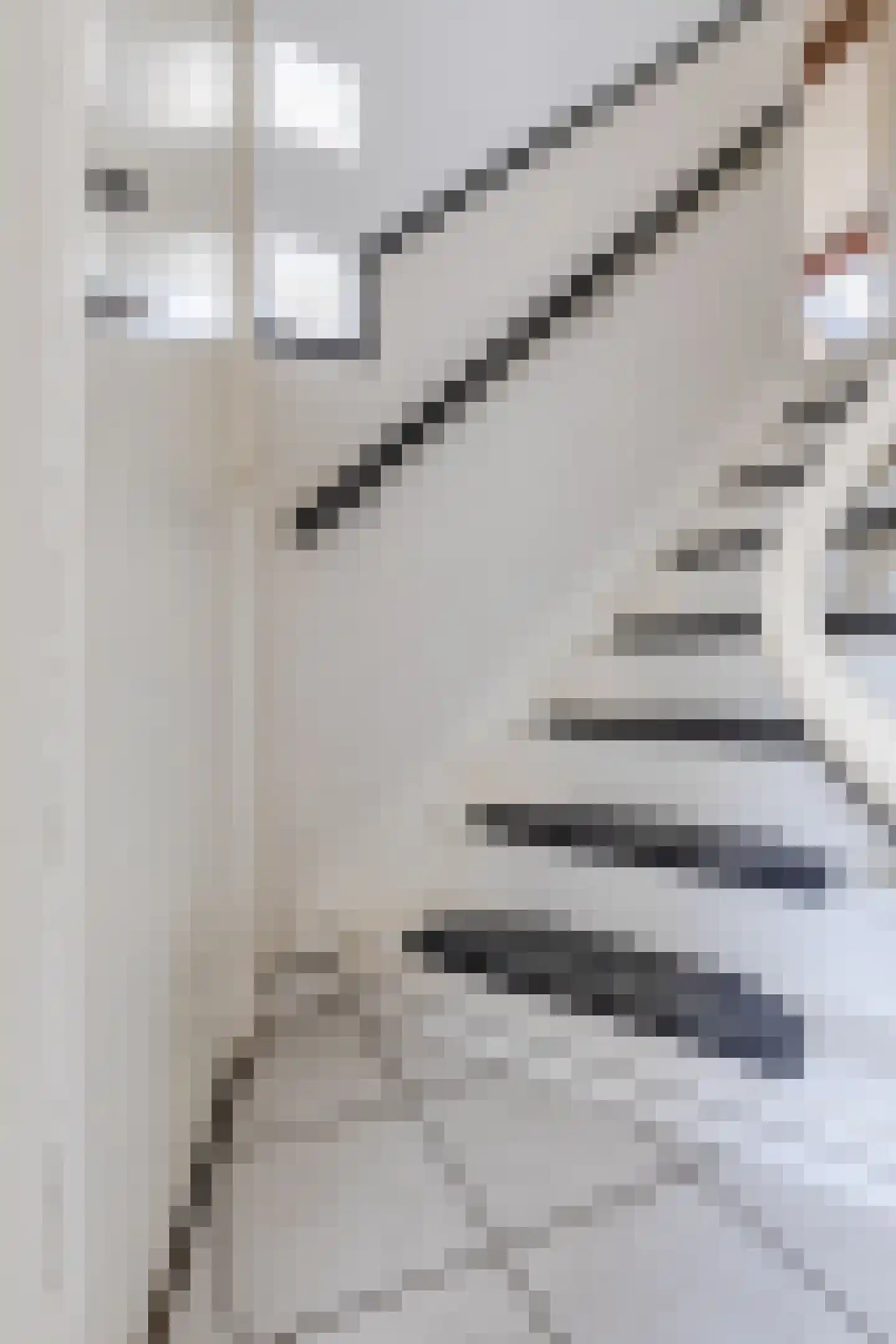 Abeelstraat 19 Echt thumbnail 19