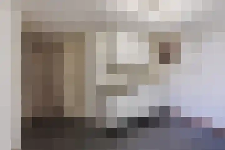 Abeelstraat 19 Echt thumbnail 21