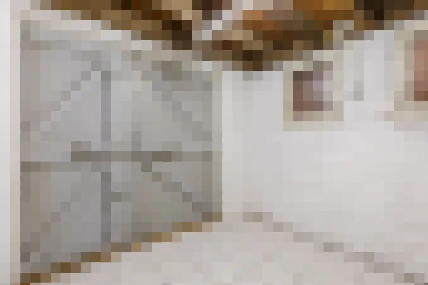 Abeelstraat 19 Echt thumbnail 27